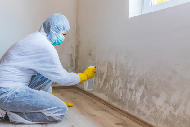 Licensed Mold Remediation service in Middletown, VA - 24 Hour Mold Removal