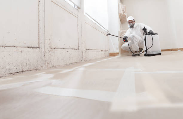 24/7 Emergency Mold Remediation experts in Middletown, VA