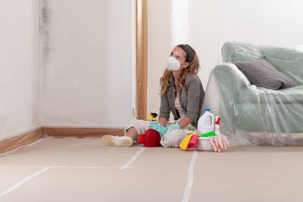 Reliable Mold Remediation contractor in Middletown, VA by 24 Hour Mold Removal