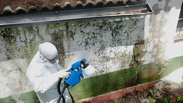 Top rated local Mold Remediation specialists in Middletown, VA